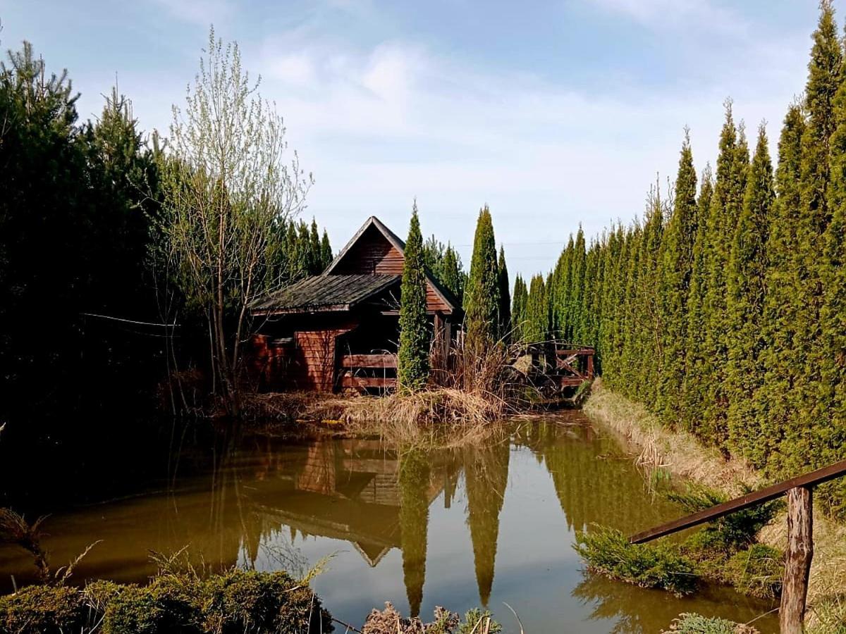 Dwor Na Otulinie Villa Białowieża Екстериор снимка